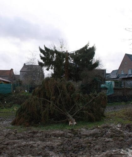 Toiture envolée et pignon effondré sur une habitation de la Wezerenstaat à Walsbets (Landen). Crédit photo : François Riguelle