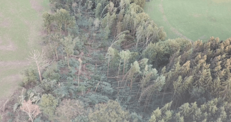 Capture d'écran d'une vidéo prise par drone à La Reid (province de Liège). De nombreux arbres ont été abattus le 17 août 2018 . Source : La Meuse. Crédit vidéo : D.R.