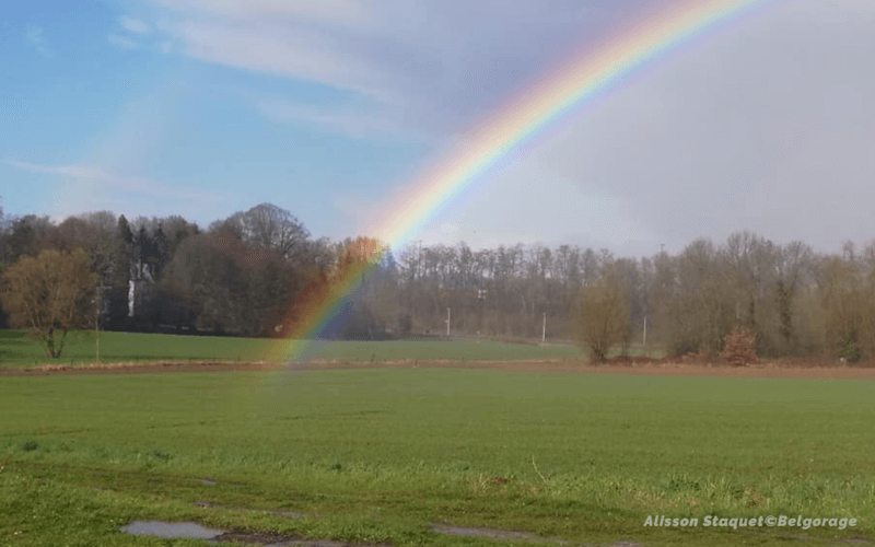 Arc-en-ciel formé sous une averse à Bellecourt, en province de Hainaut, le 7 mars 2019 vers 15h30. Crédit photo : Alisson Staquet