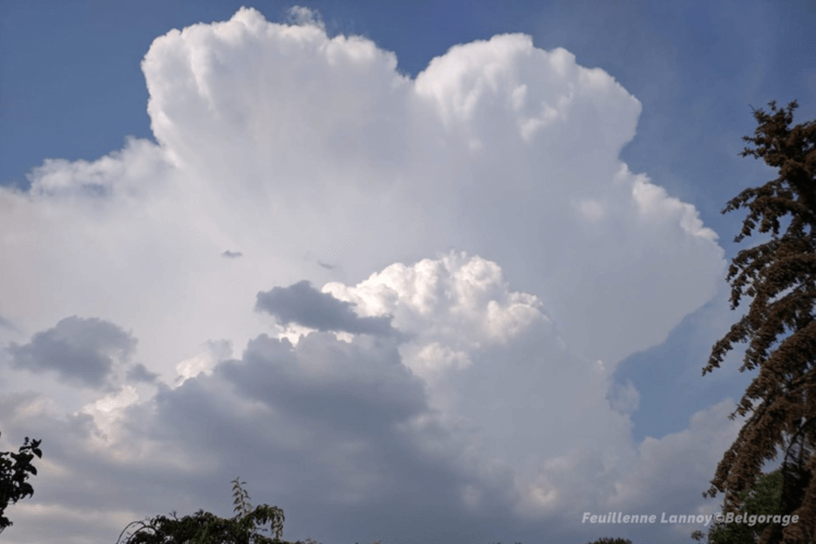 Cellule orageuse sur Tirlemont (province du Brabant Flamand) vue depuis Jemeppe-sur-Sambre, en province de Hainaut, le 25 juillet 2019. Crédit photo : Feuillenne Lannoy