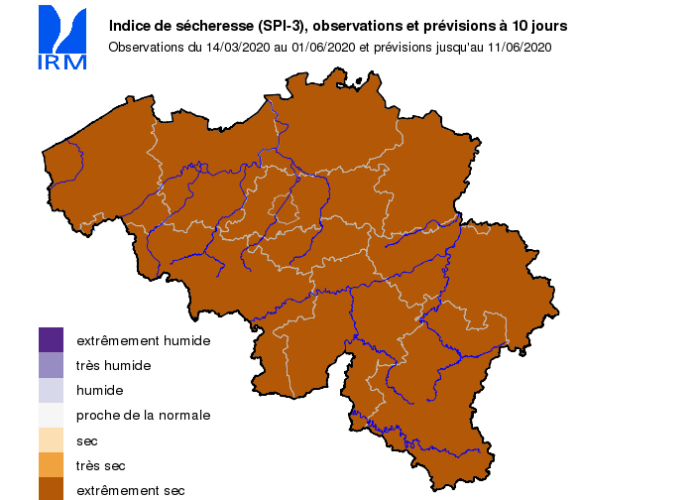Carte illustrant l'indice de sécheresse en Belgique au 1er juin 2020. La totalité du pays est soumis à une forte sécheresse. Même si en réalité des disparités régionales existent. Source : IRM