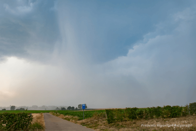 Microrafale (de faible intensité) sous un orage à Vorsen, en province de Limbourg, le 11 août 2020 vers 18h45. Crédit photo : François Riguelle