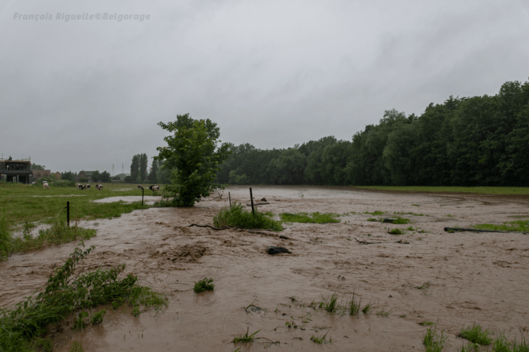 ruissellements engendrés par les fortes précipitations dans la région de Jodoigne, en province de Brabant Wallon, le 29 juin 2021