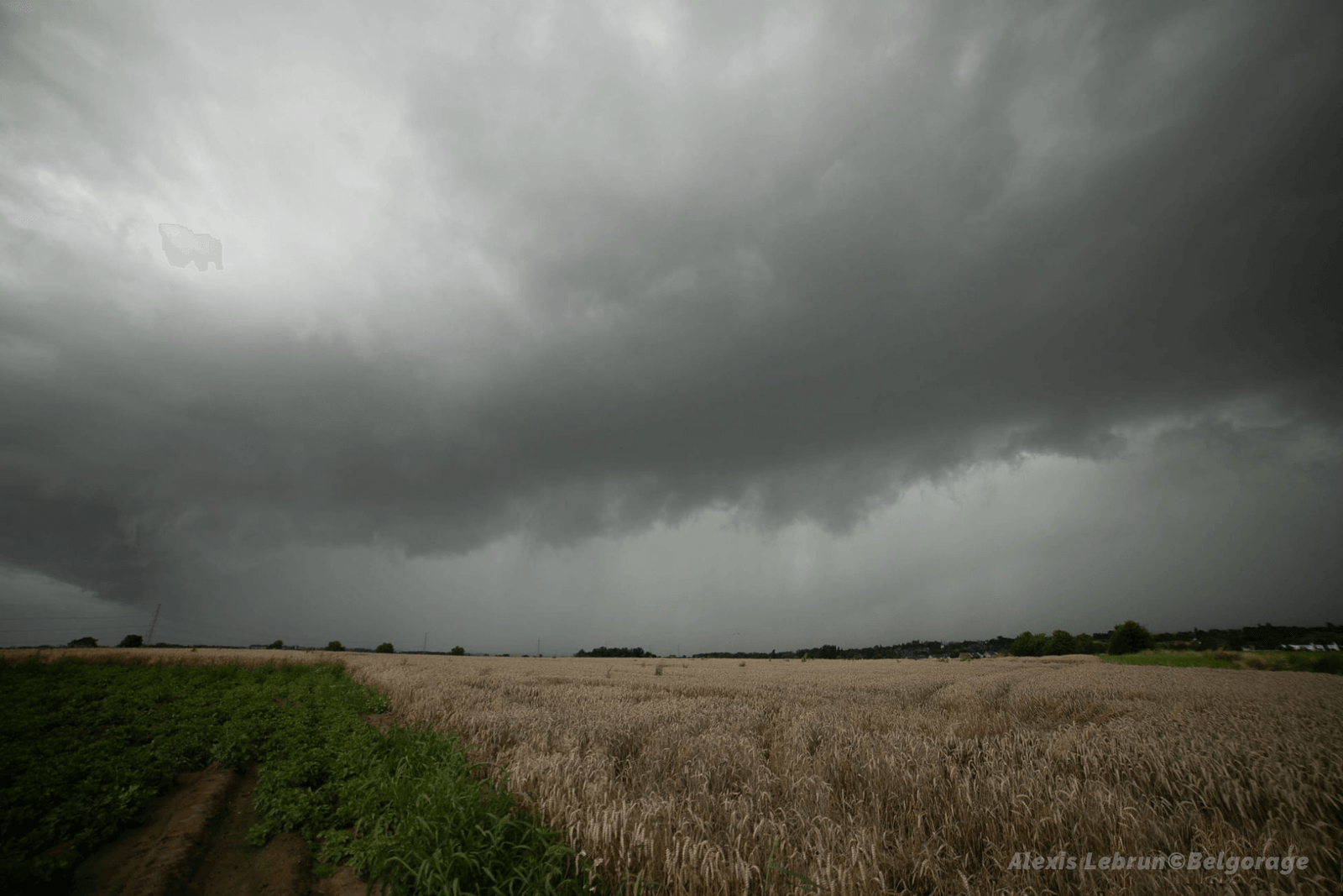 Arcus devançant l'orage multicellulaire à Heppignies, en province de Hainaut, le 7 août 2021 vers 18h00