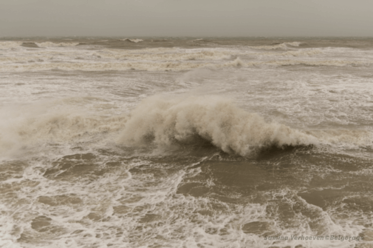 La mer du nord était particulièrement houleuse au passage de la tempête Eunice, le 18 février 2022 à Wenduine.