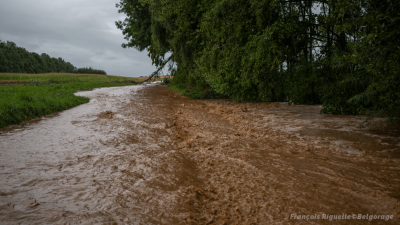 Coulée de boue à Opprebais, en province du Brabant Wallon, le 25 août 2023.