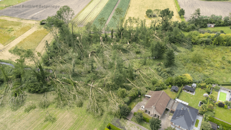 Dégâts observés à Leest, dans la province d'Anvers, le 9 juillet 2024. Crédit photo : Michael Baillie