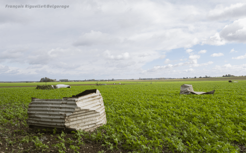 Tôles retrouvées dans les champs (30) à plus d'un kilomètre des bâtiments. Crédit photo : François Riguelle