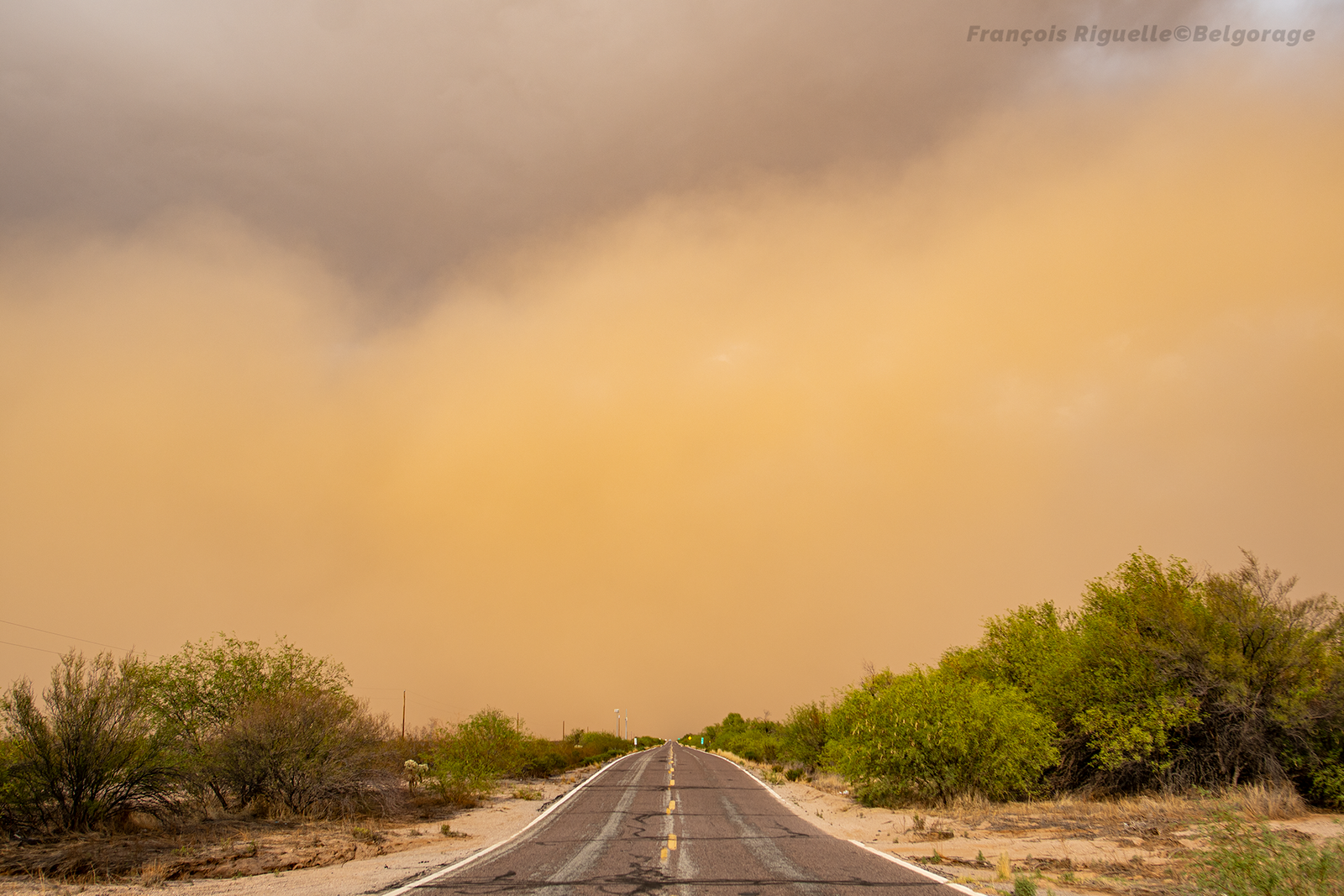Arrivée d'un haboob dans la région de Why, en Arizona, le 2 juillet 2025.