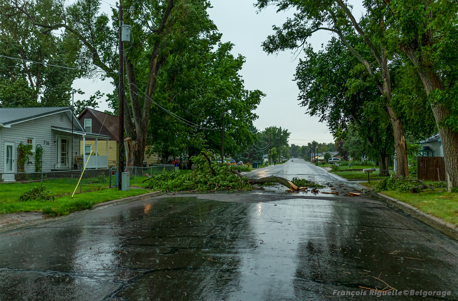 Branche brisée suite à un puissant front de rafales dans la ville de Wray, au Colorado, le 7 juillet 2025.